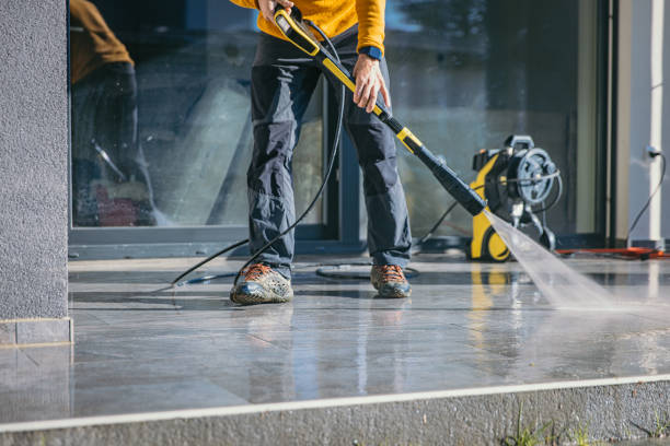 Best Solar Panel Cleaning  in Wolfe City, TX